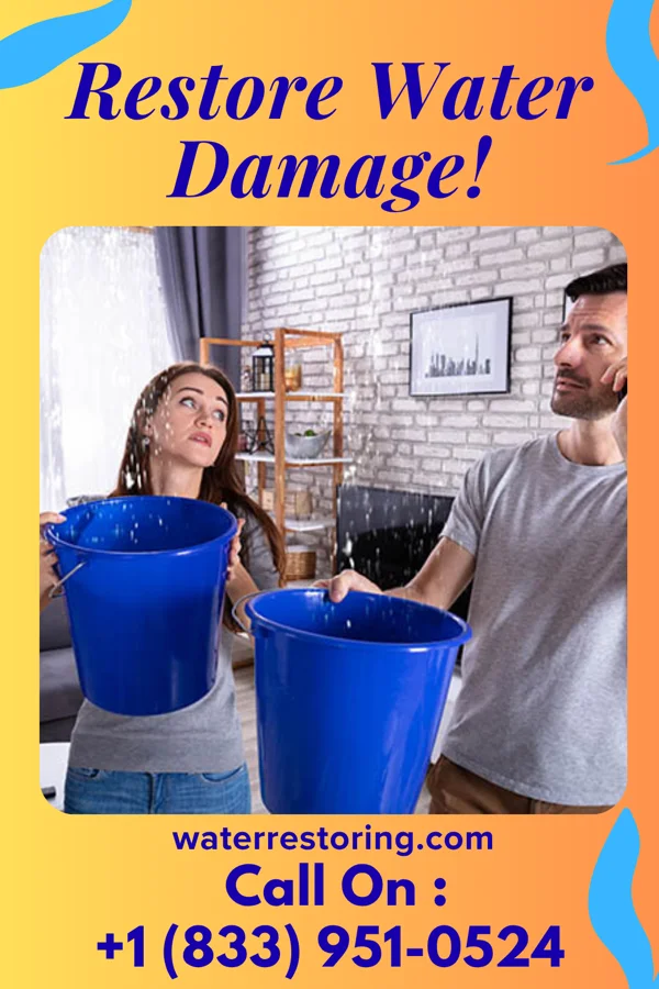 water restoration Reliable Water Works Professionals River Oaks