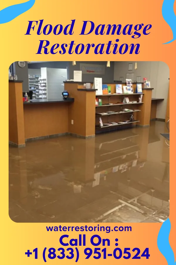 Flood Damage Restoration in River Oaks, TX