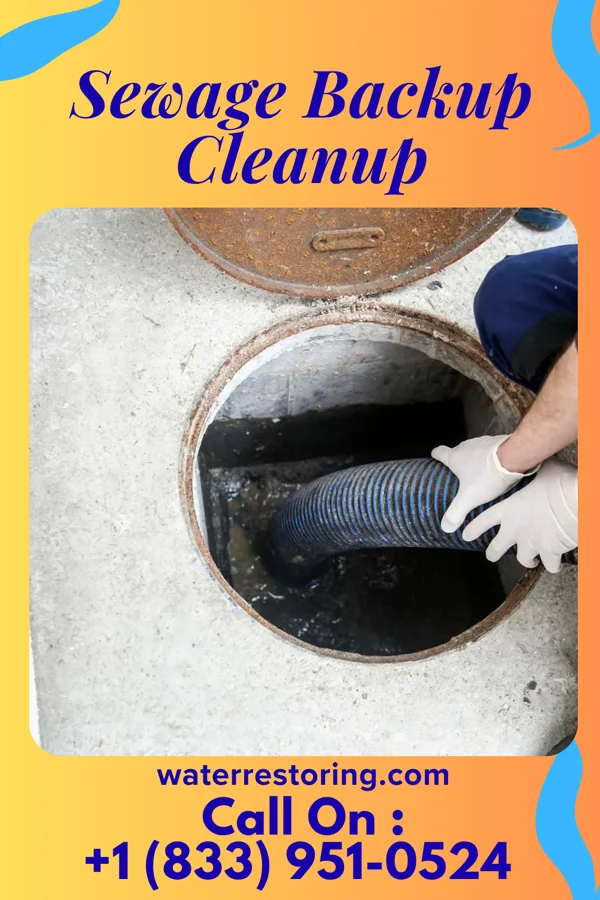 Sewage Backup Cleanup in River Oaks, TX