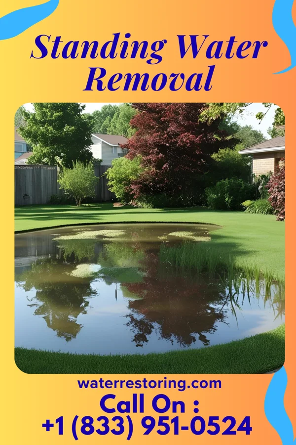 Standing Water Removal in River Oaks, TX
